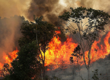 Programa DizCUT - Edição 117 -  Bolsonaro ignora a destruição da floresta Amazônica