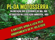 “PL da motosserra”: Avança a luta contra a destruição da Mata Atlântica em SC